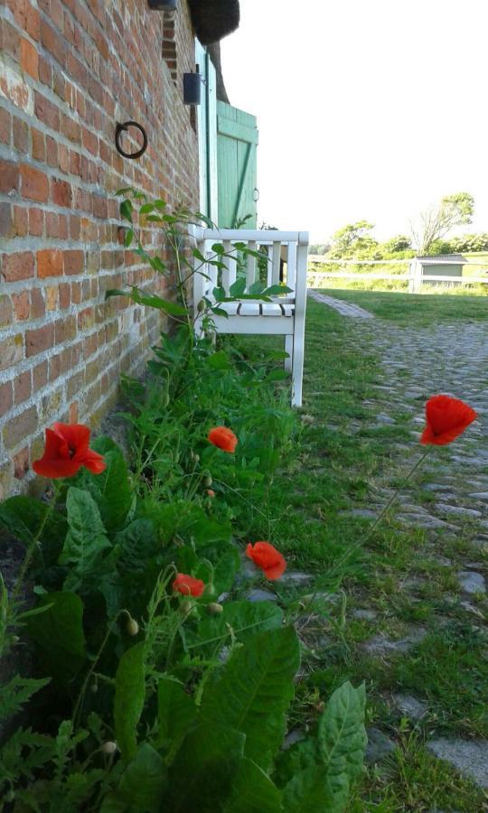 Der Historische Silberhof Von 1856 Ferienhaus Pellworm